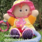 151019 Veldnorm chronische beademing bij kinderen 1
